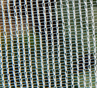 Agriculure netting 8 Picture8