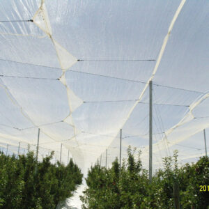 Agriculure netting